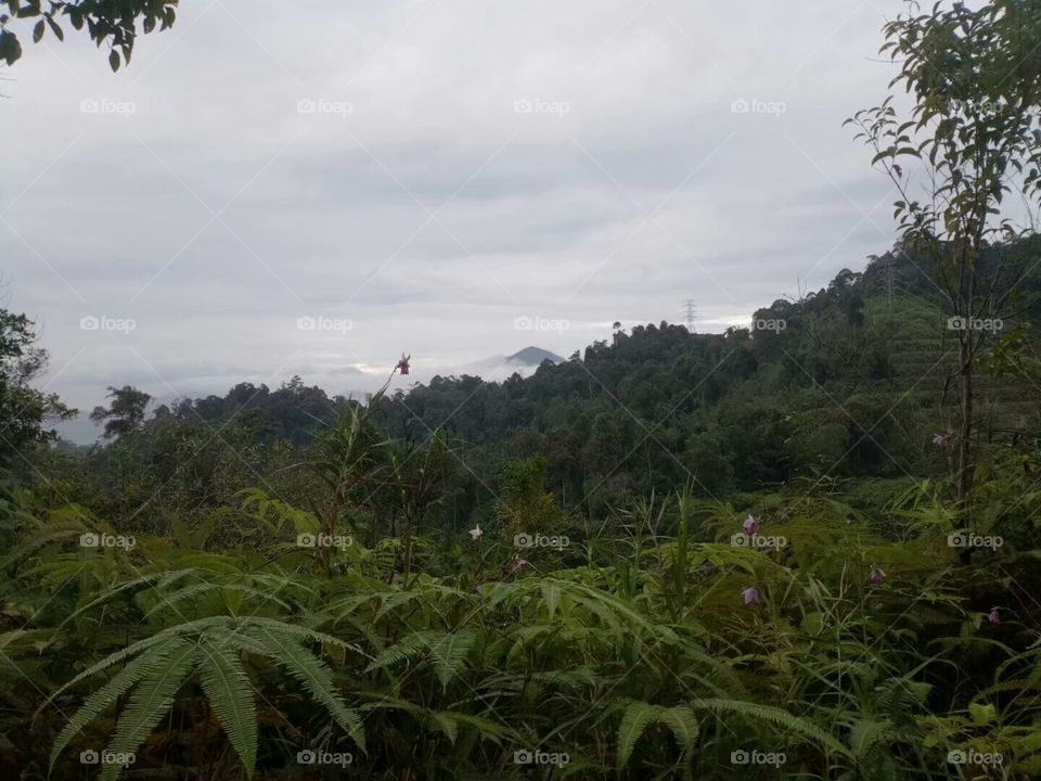 high mountain/Bukit Tinggiبوكيت تينجي/武吉丁宜