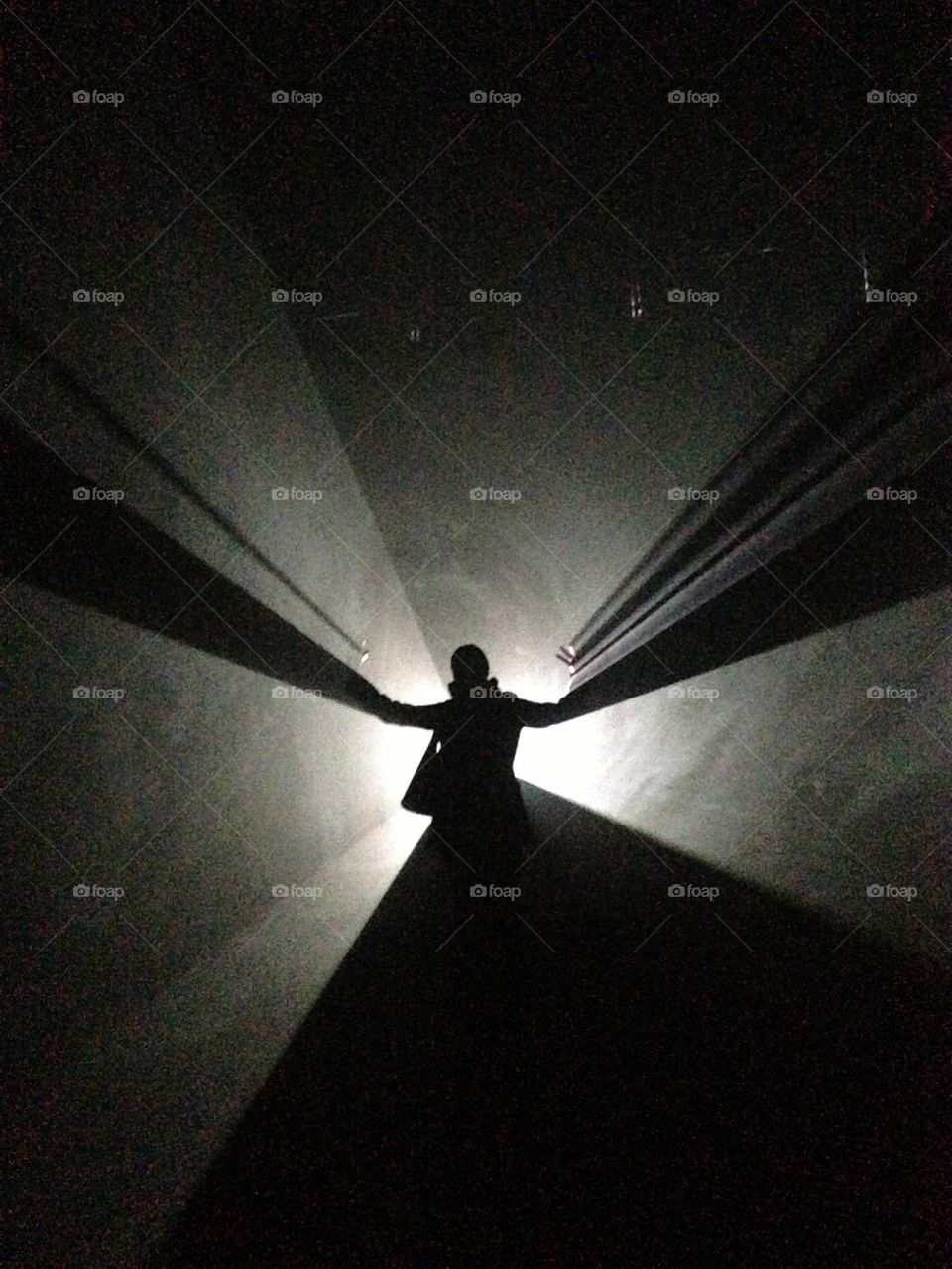 Dancing in the light