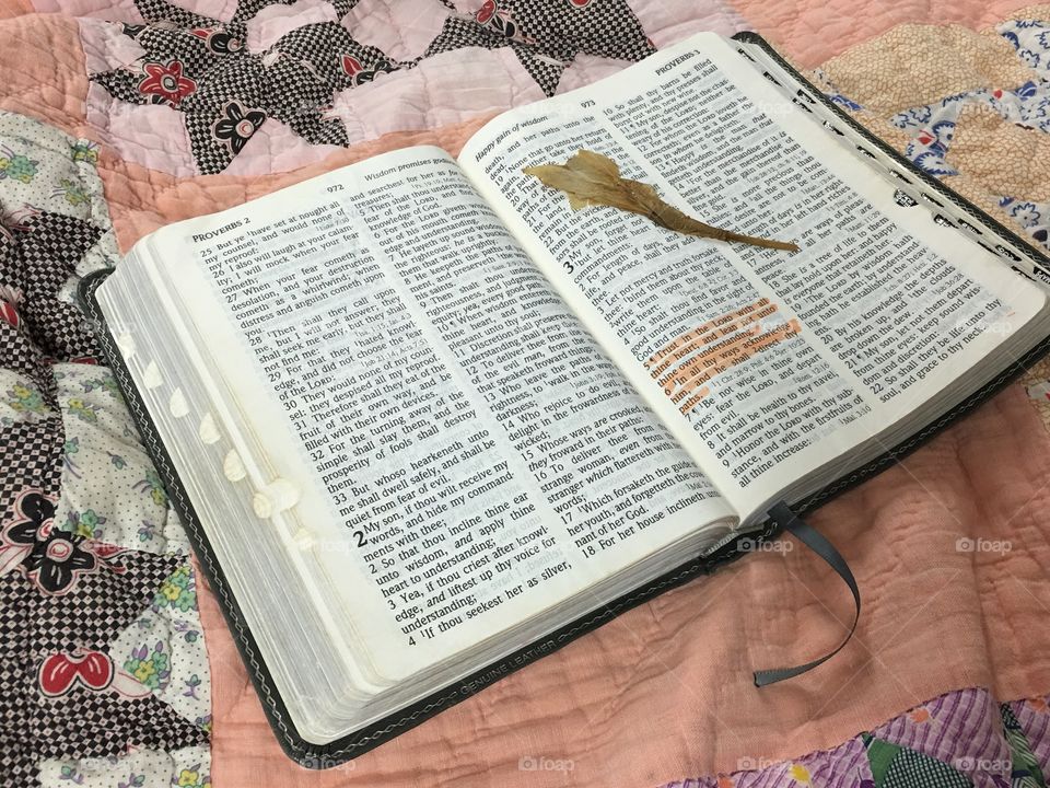 My Bible and Flower From Tom