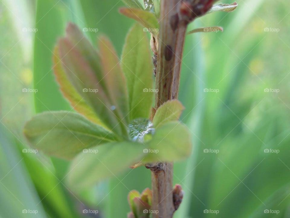 Drops and feeling ...