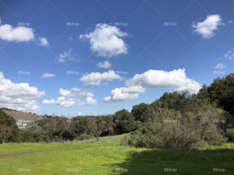 White puffy clouds on the country side