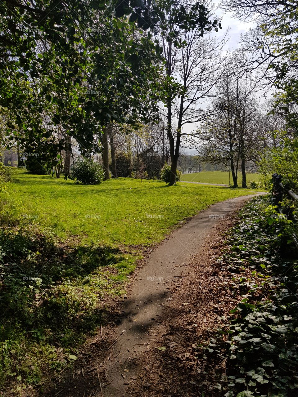 Path leading to park on spring afternoon.