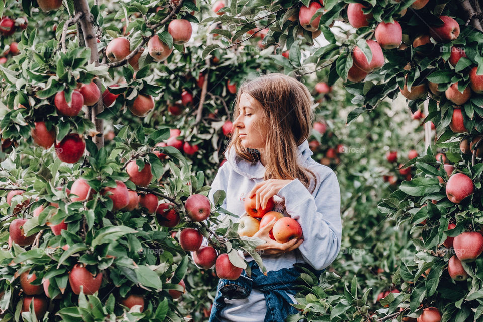 Girl with apples in hands is standing in the apple garden