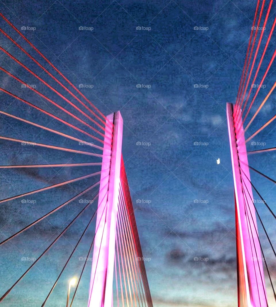 Kosciusko Bridge (new)