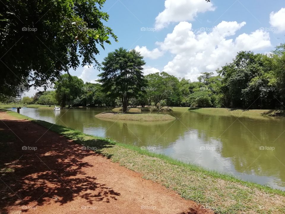 Beautiful walking path by the side of a beautiful waters 💛