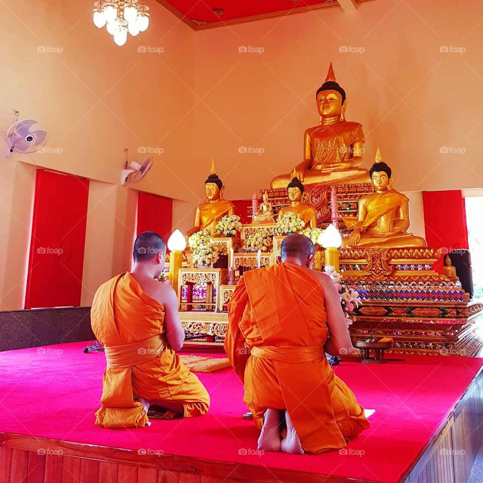 Monks praying in Buddhist temple