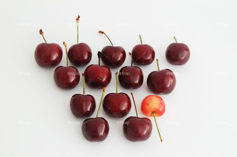 Studio shot of red cherries