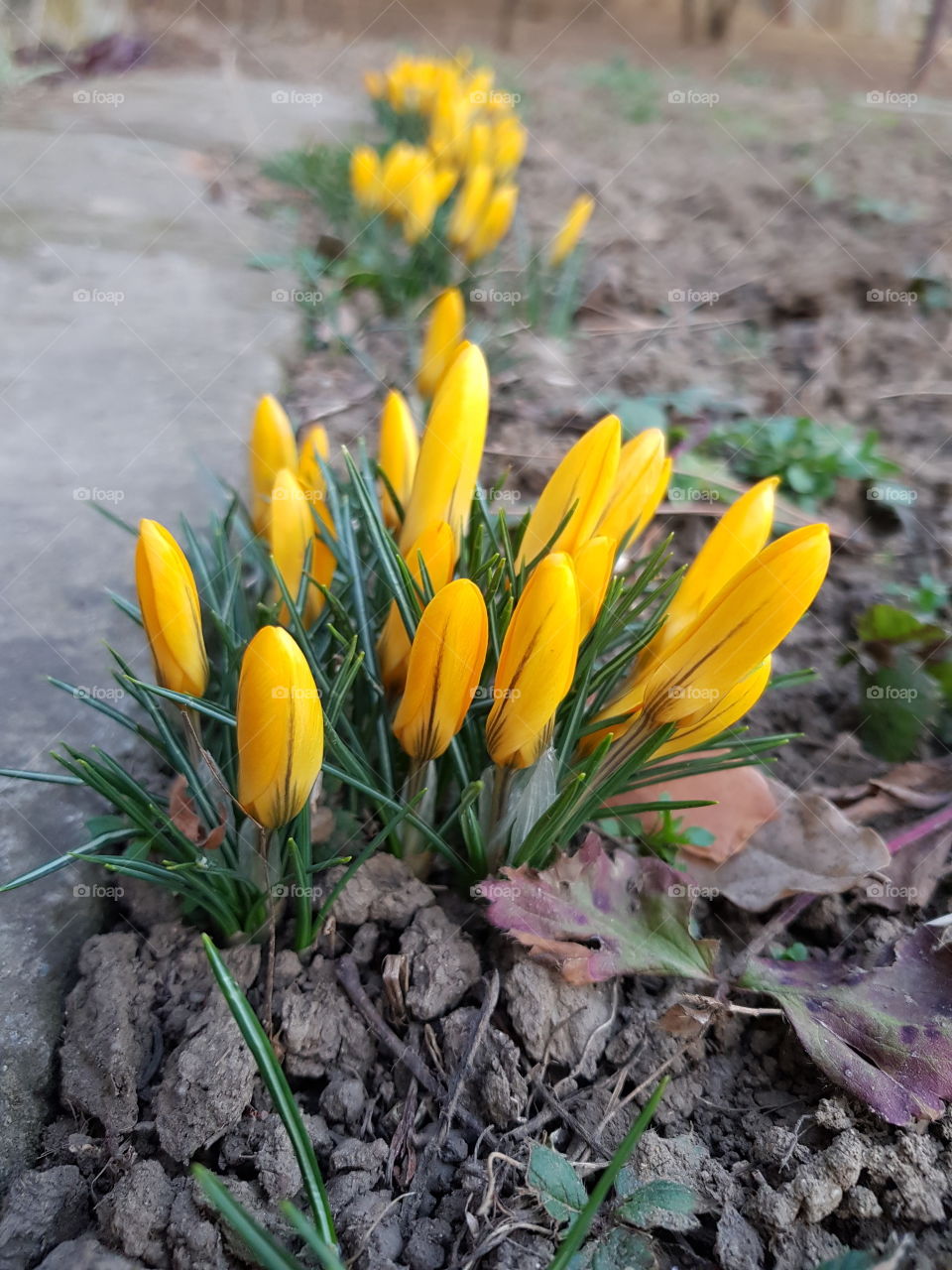 spring is coming.