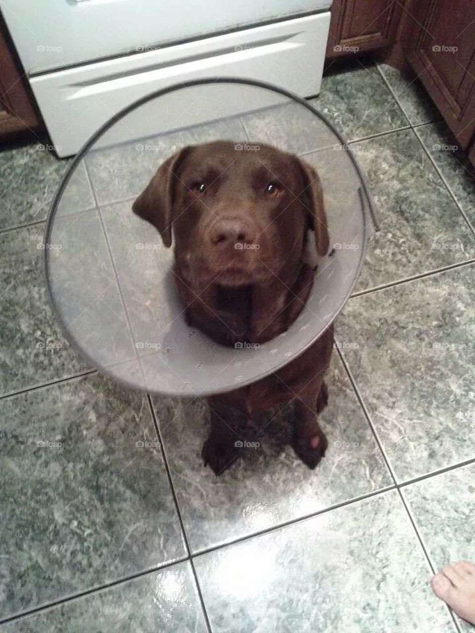 Poor poor pitiful me