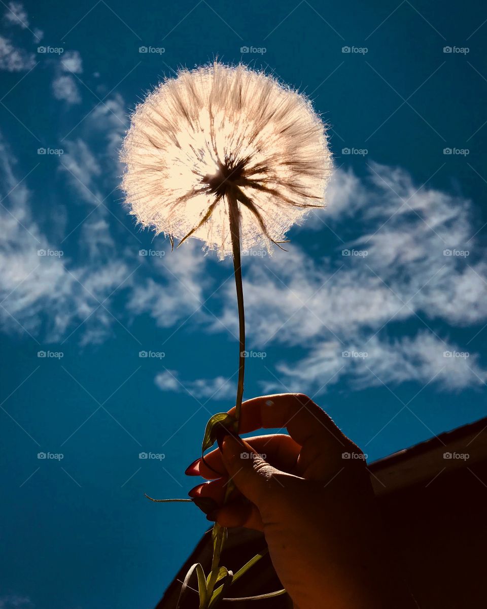 Make a large wish, this one can handle it! 