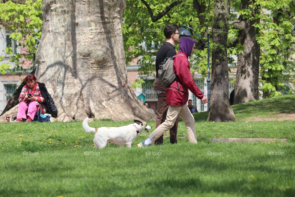 Taking the dog to the walk