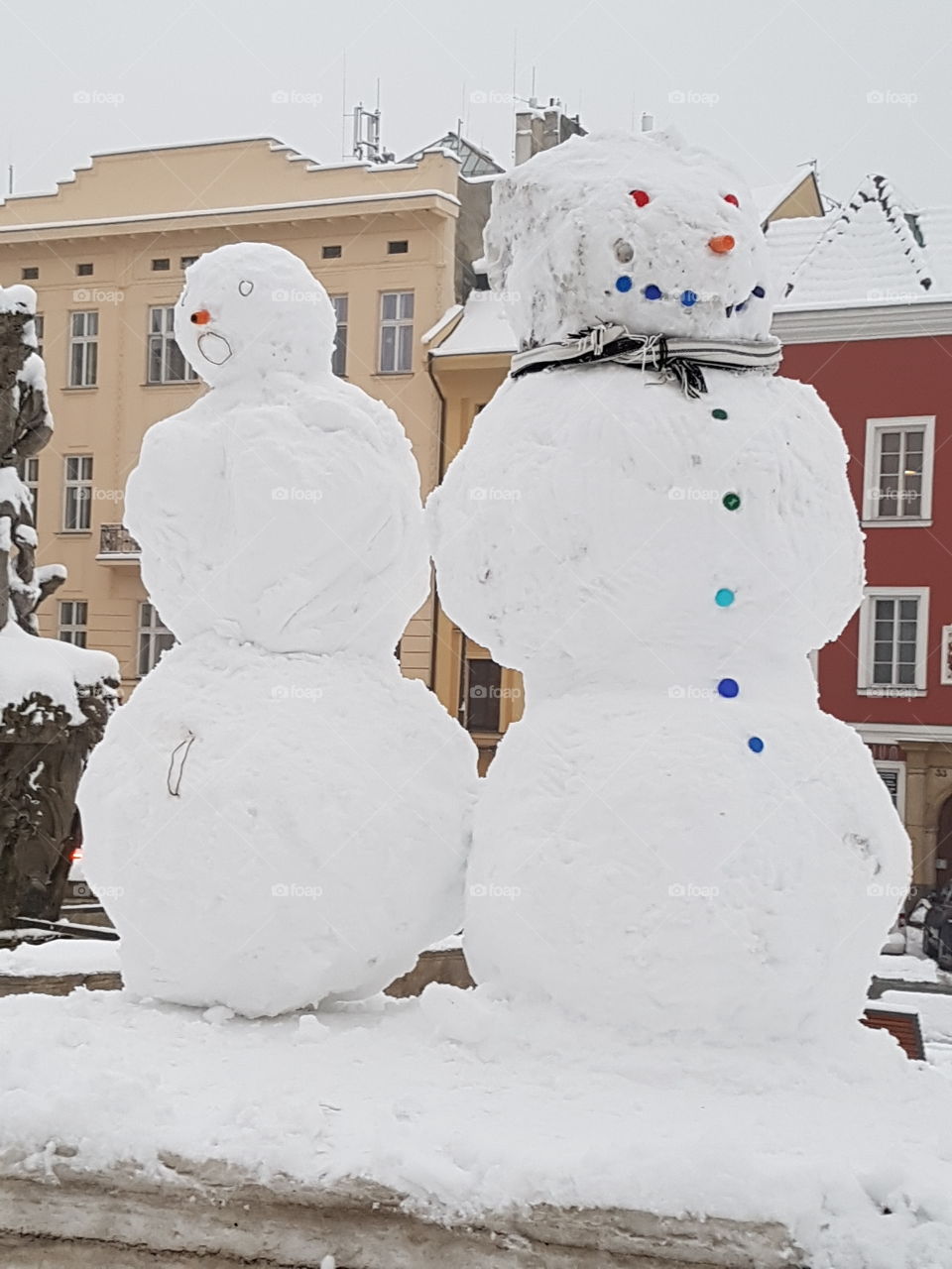 Mr.  and Mrs.  Snowpeople