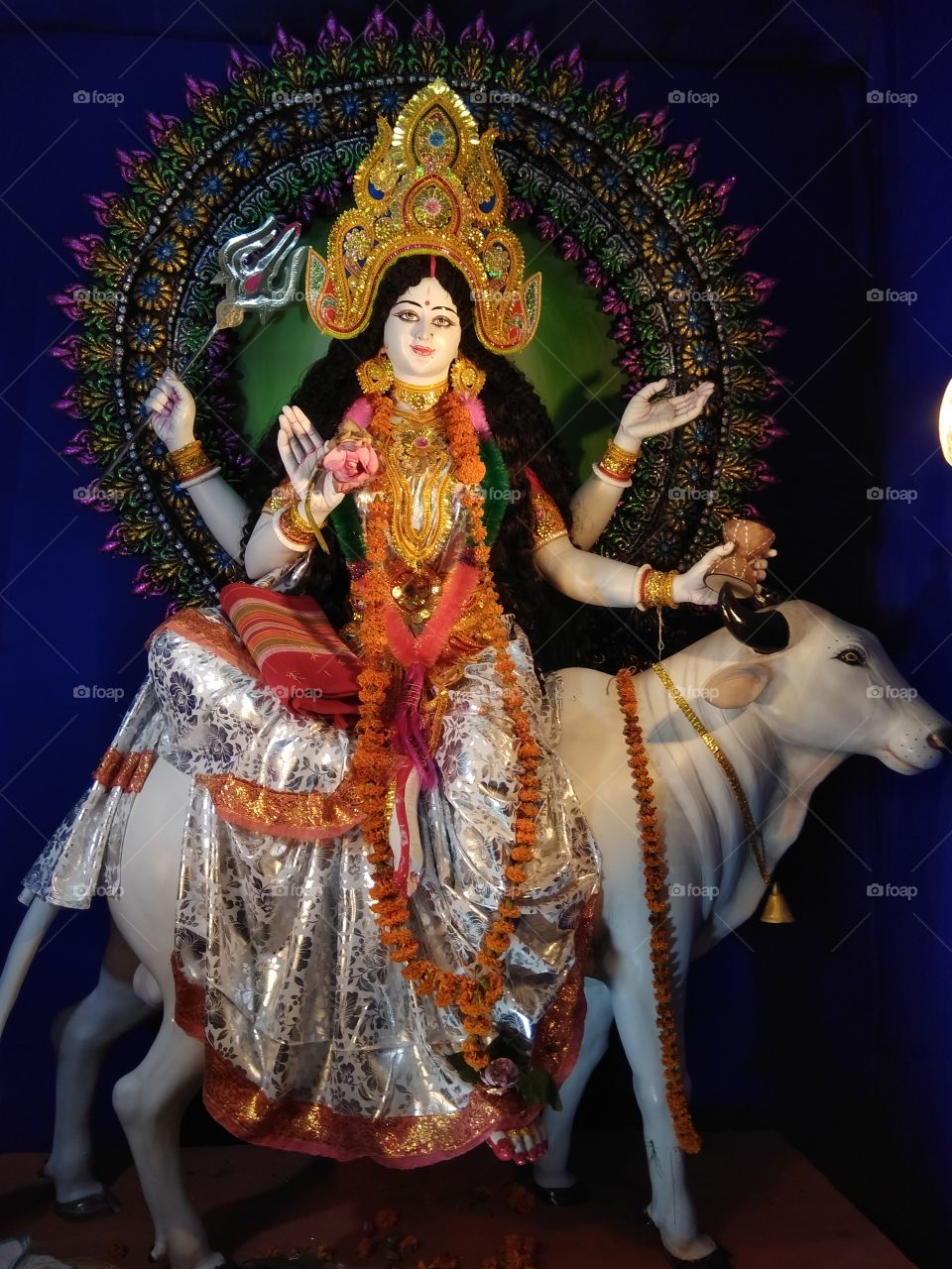 IDOL OF DEVI
