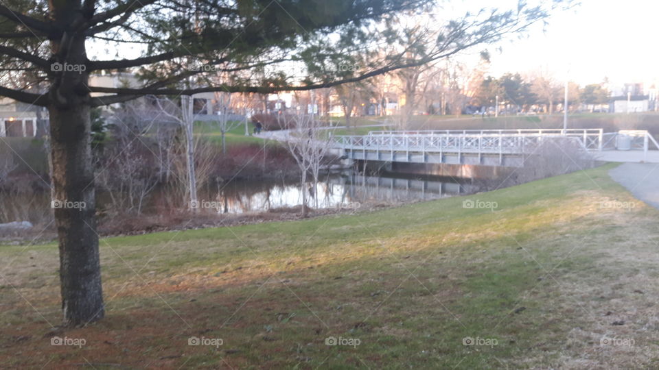 bridge in limiulou