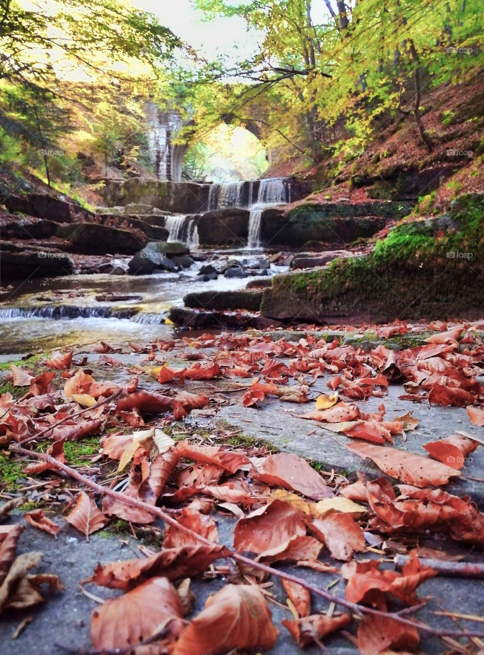 Autumn Waterfall