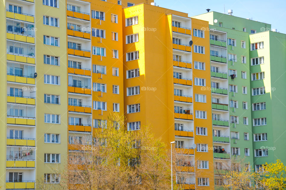 Color Buildings