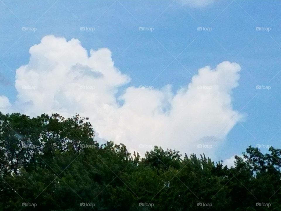 Driving the Back Roads and enjoying everything around us