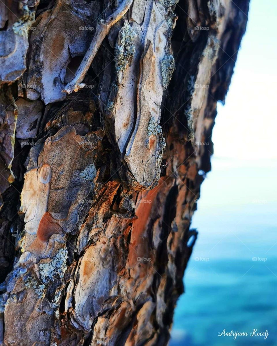 Earth and sea ❤️