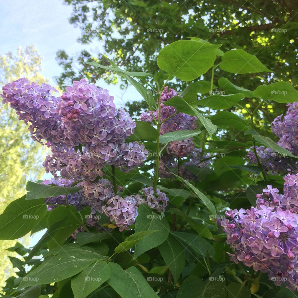 What a beautiful day