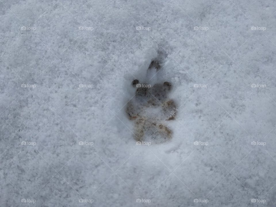 Snow footprint