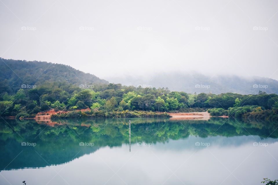 Reflection of foggy forest on lake