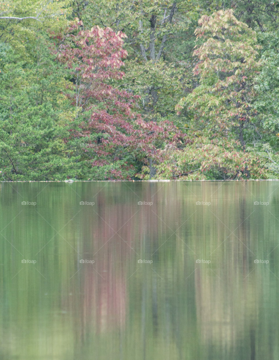 Mountain foliage with fall colors and  reflected off lake.