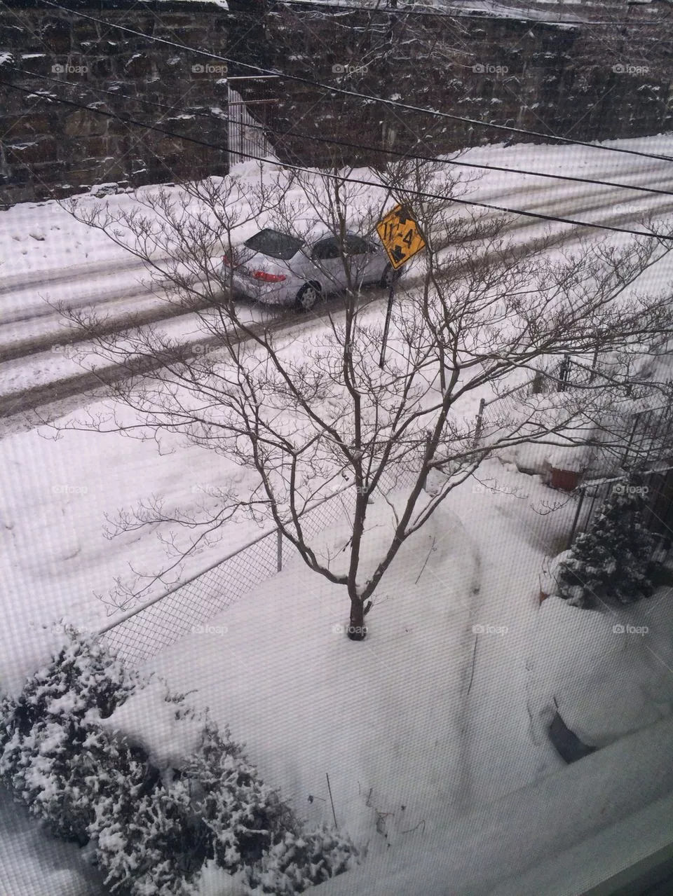 Snow 