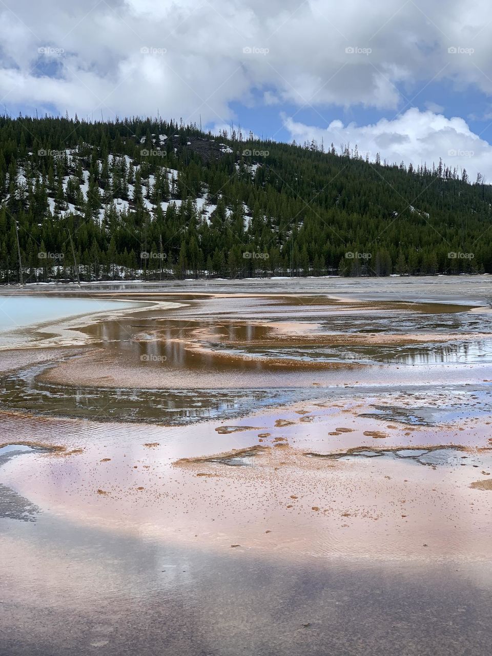 Yellowstone bacteria beauty 