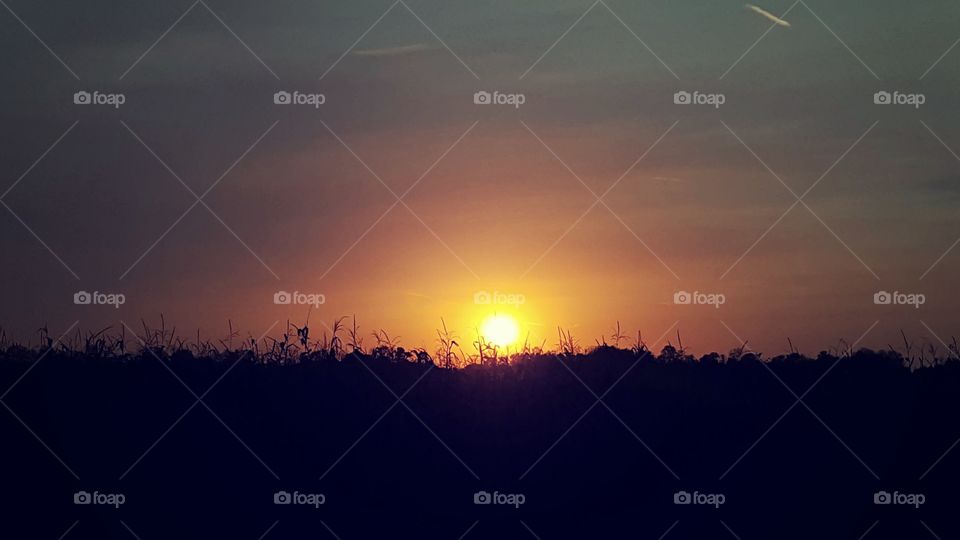 glowing sunset behind silhouette fields