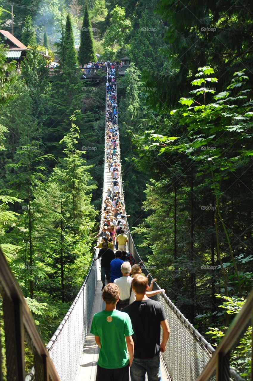 Capilano suspension bridge, Vancouver Canada