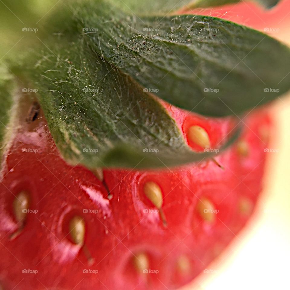 Strawberry. Macro picture of the most pretty berry