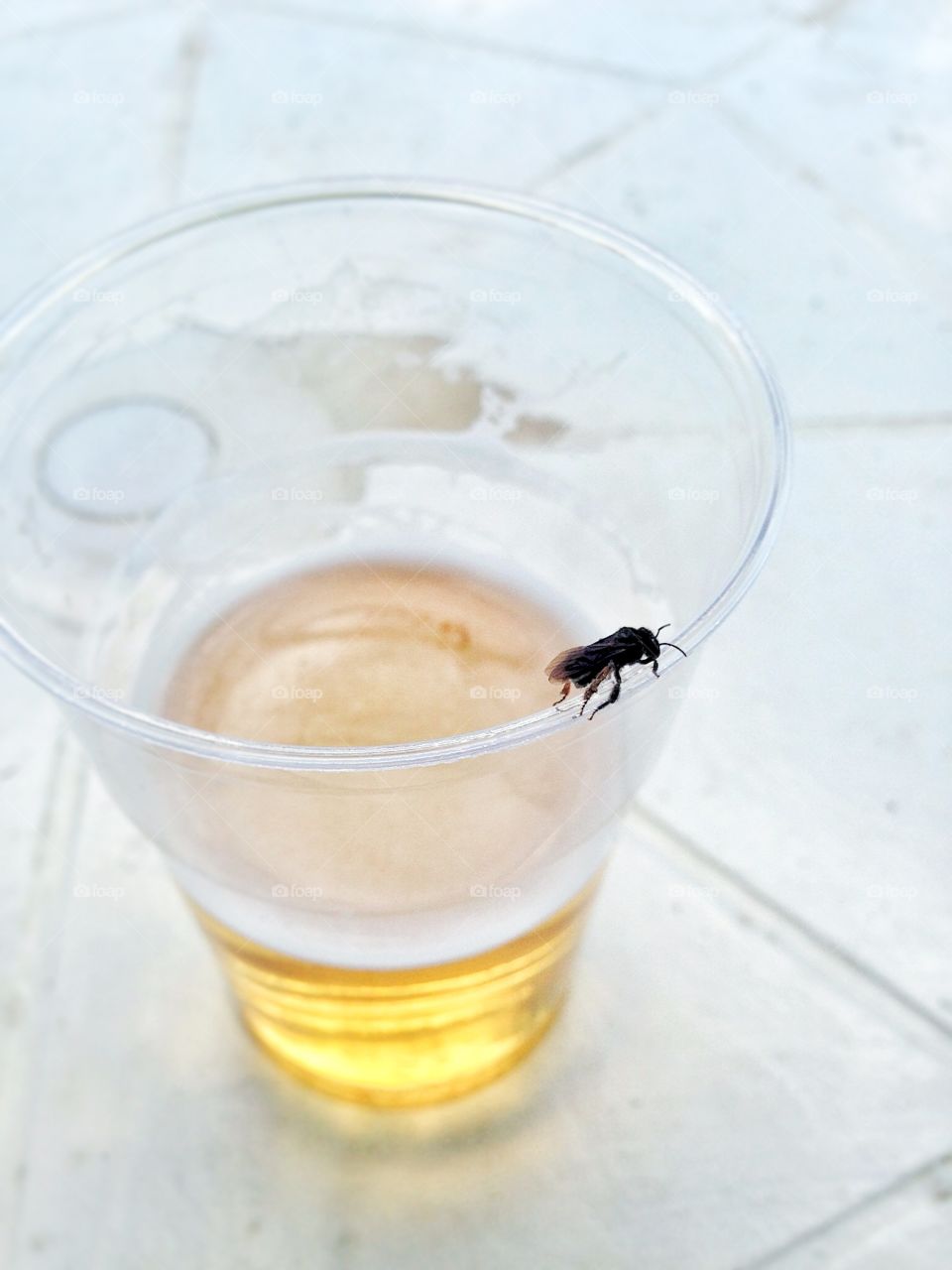 Drunk bee