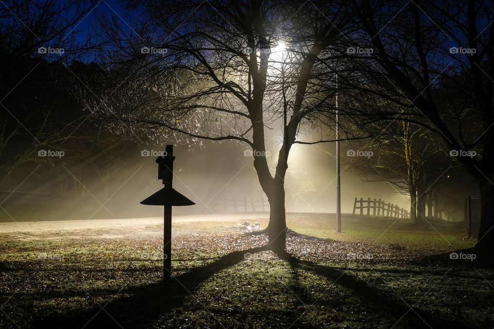 A silhouette of a birdhouse in front of the light beams of a street lamp on a dark foggy morning. Lake Benson Park in Garner North Carolina. 