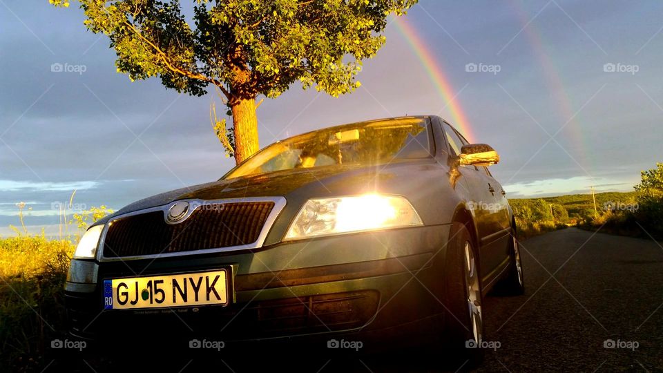 the rainbow is best seen from below