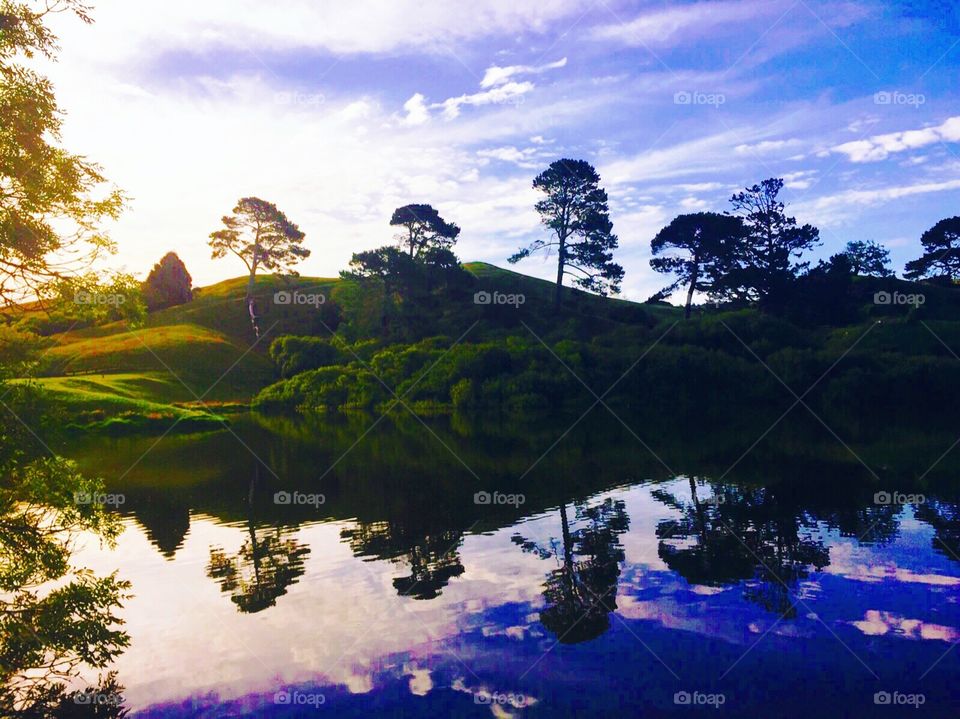 Hobbiton
New Zealand
Summer
Reflection
Tree
Sunset