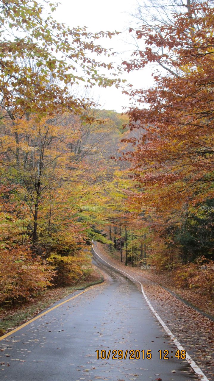 Northern Michigan 