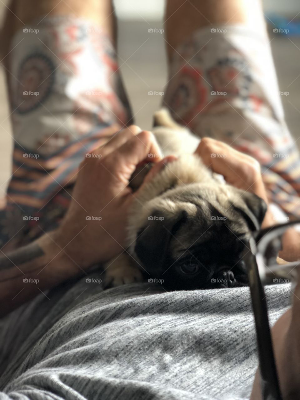 Sunday snuggles with little baby pug Eleanor. Laying on her man’s chest 