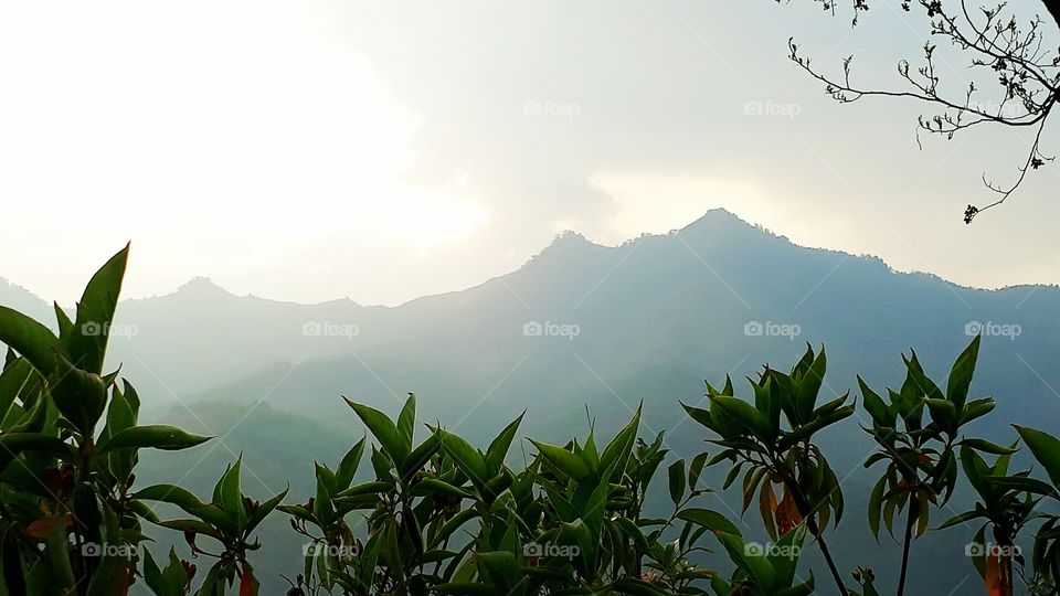 Nature photography, Manipur, India