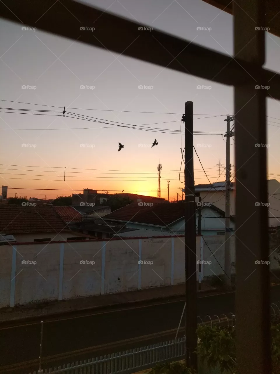 bem vindo foap