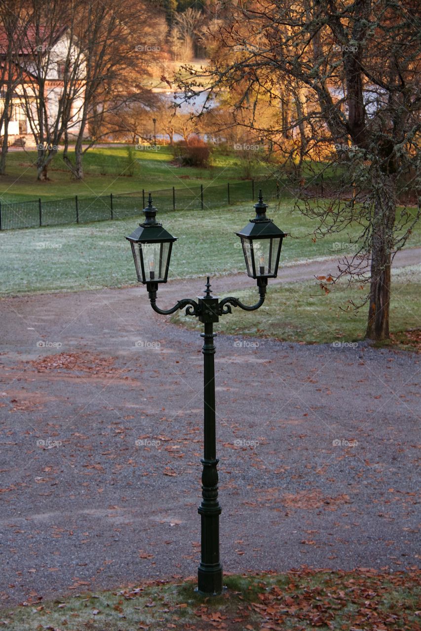 Garden lighting in Autumn 