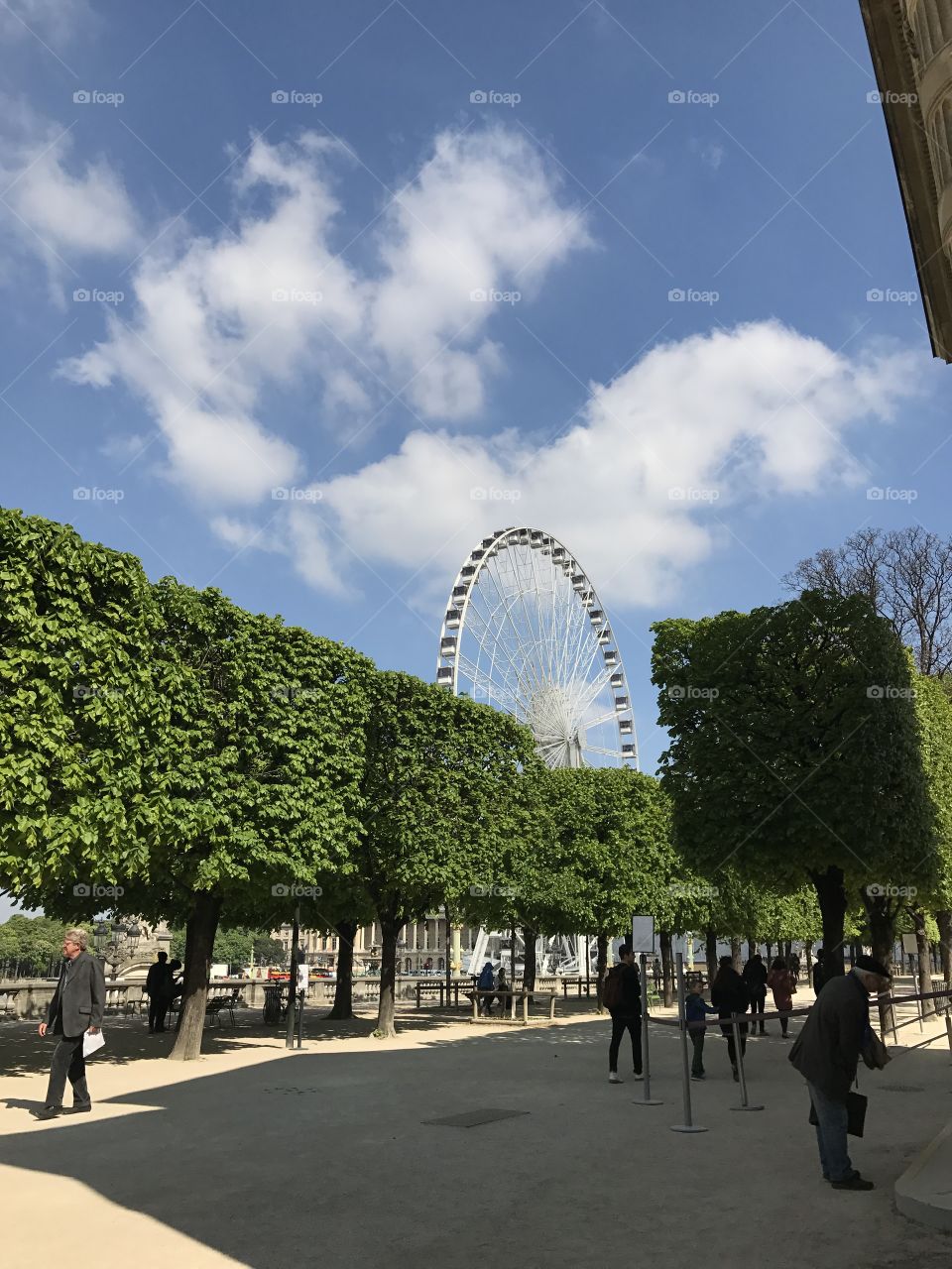 Wheel giant paris city