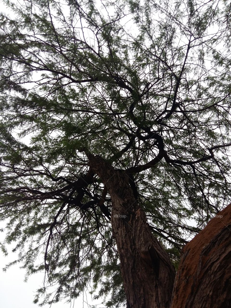 Always look up for opportunity.