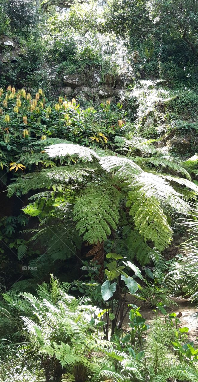 nice plants in the park of Montserrate