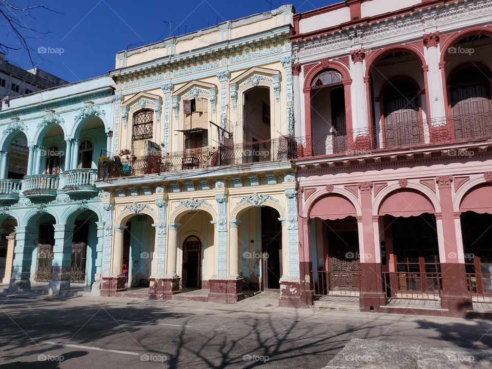 Pardo Havana