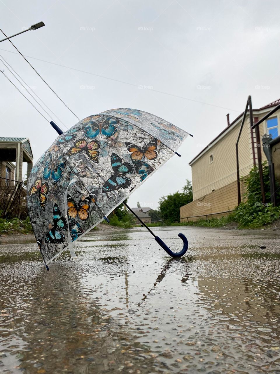 umbrella