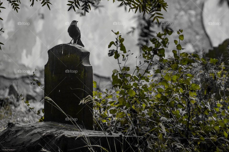 What is life without Death?. Oujda-Morocco