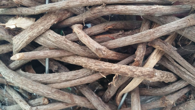 Twigs