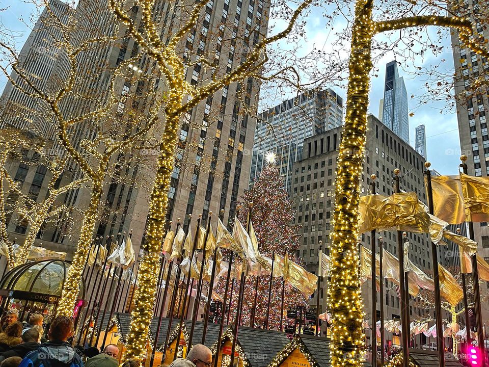 The tree at Rockefeller Center 