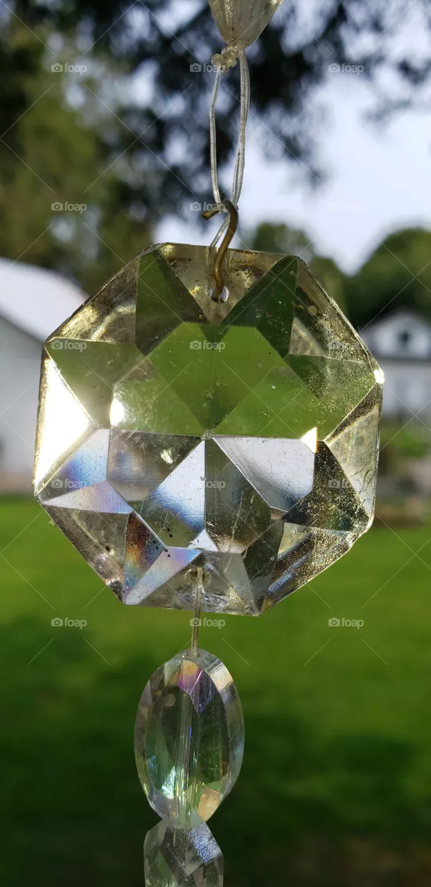 Crystals Hanging in a Tree