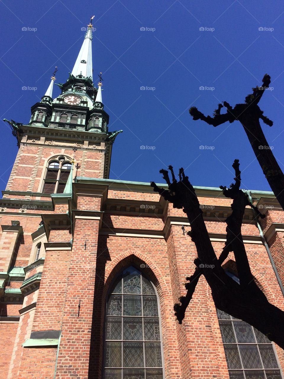 Church with blue sky and black tree silhouette. 